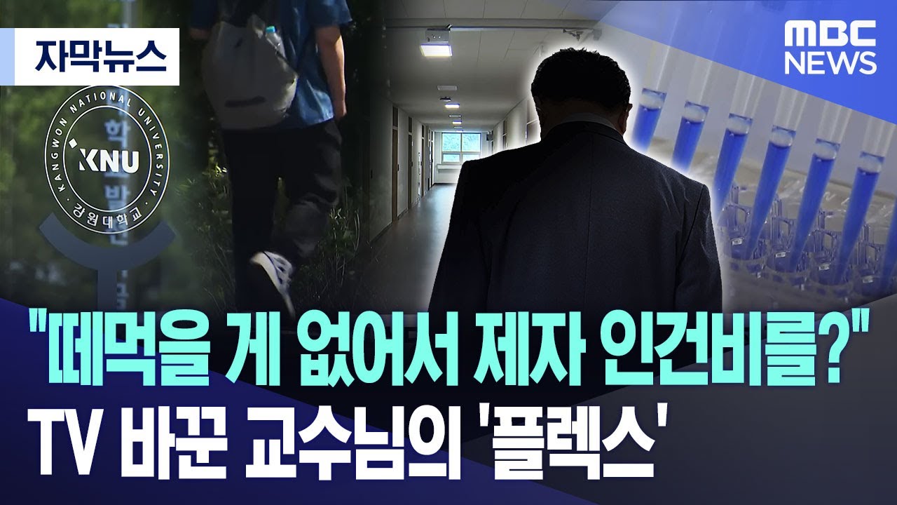 [자막뉴스] 