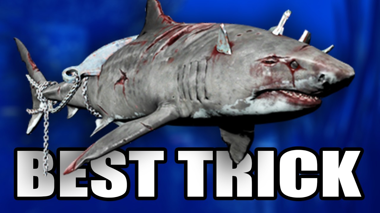 How To Be The Best Shark In Depth