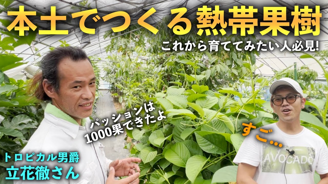 【必見！】本土でつくる熱帯果樹！2年前に取材させてもらった立花さんのところへ！