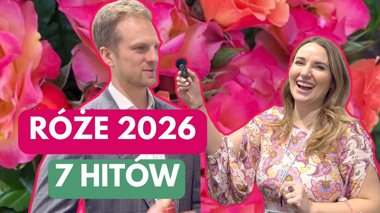 7 R&Oacute;Ż HIT&Oacute;W NA 2026 - BAŚNIOWE CZY BEZOBSŁUGOWE R&Oacute;ŻE?