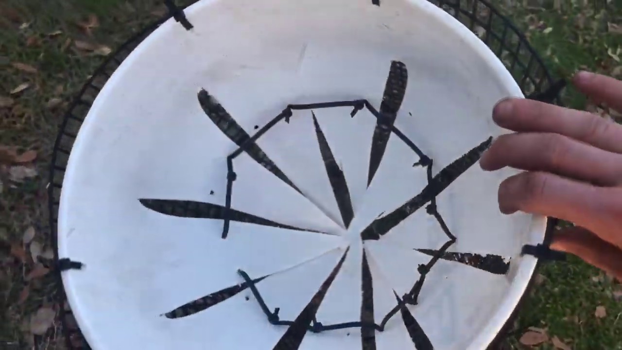 How to make a catfish trap