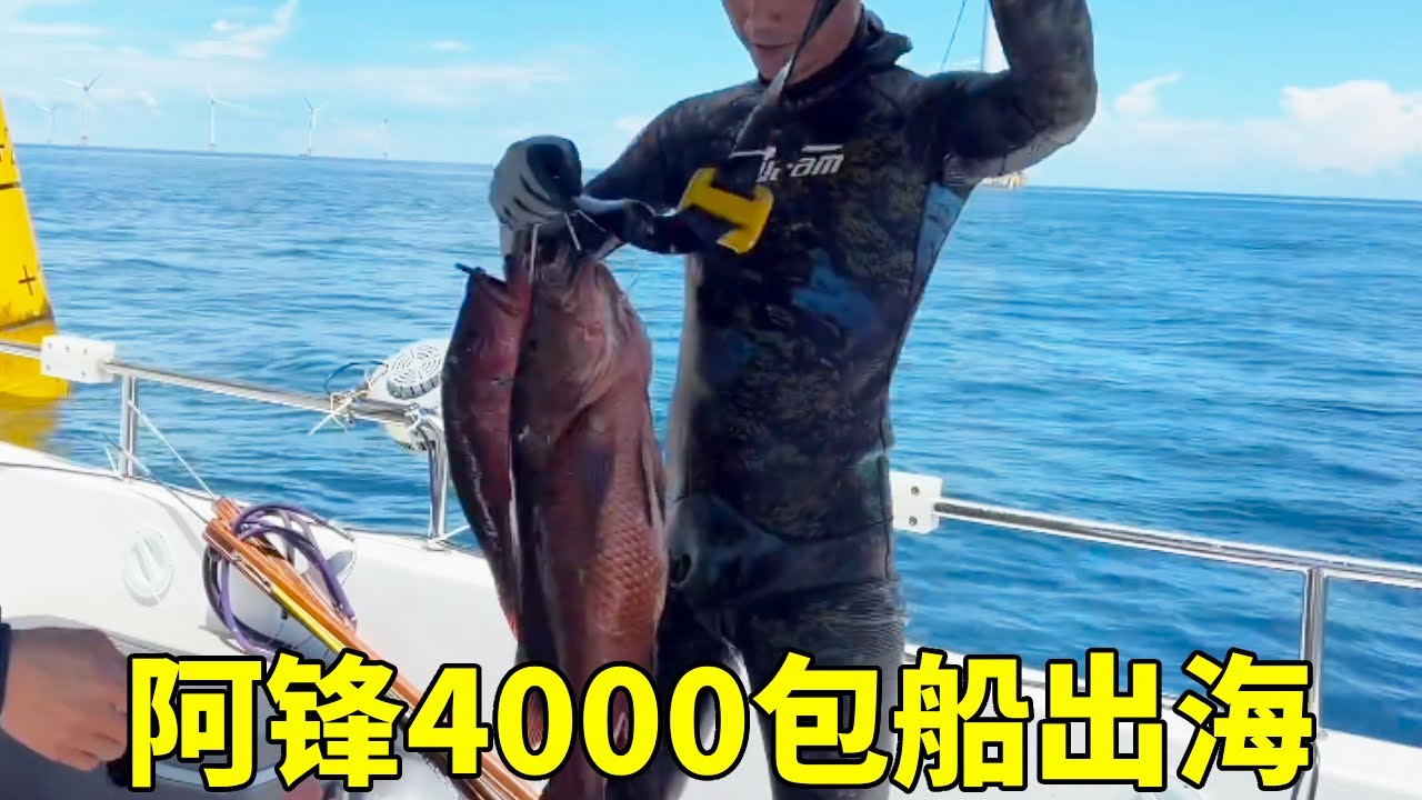 孤注一掷！阿锋4000包船出海，这票能赚翻吗？【探海漁人】