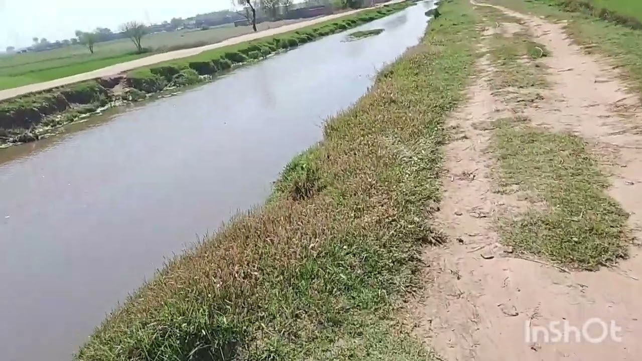 Mehnat majduri 