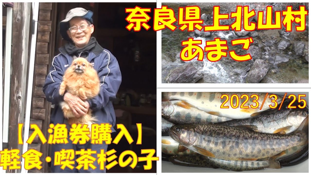 2023/3/25 奈良県上北山村【あまご】釣れたらいいね！なんちゃんチャンネル