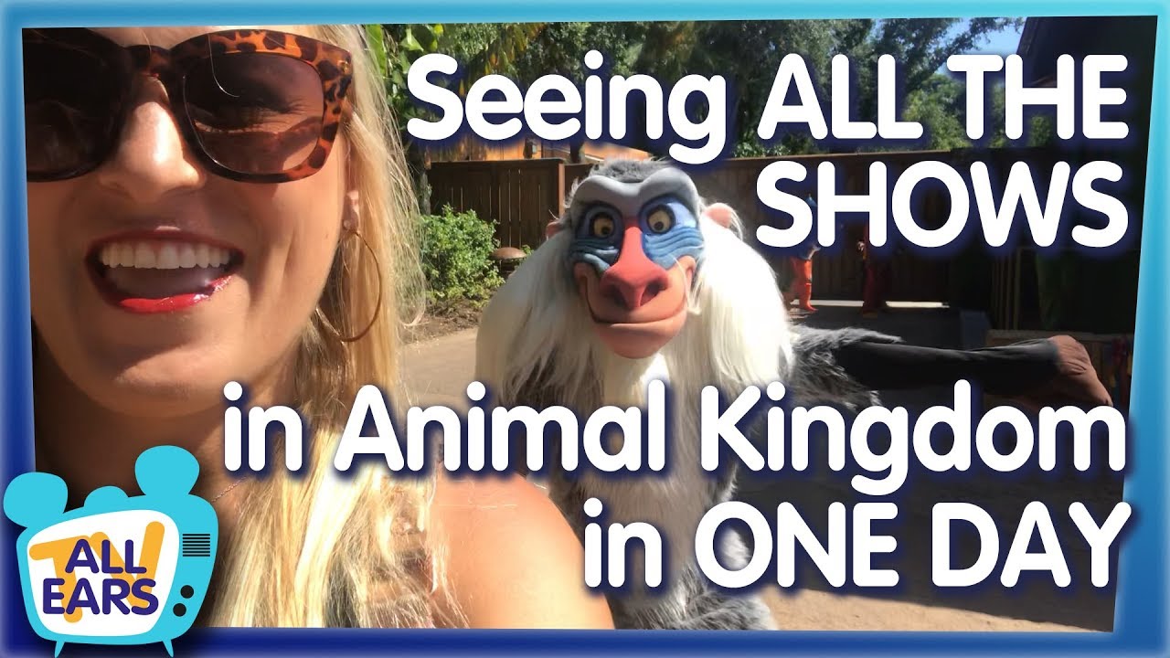 Do You Know Every Live Show in Disney's Animal Kingdom?