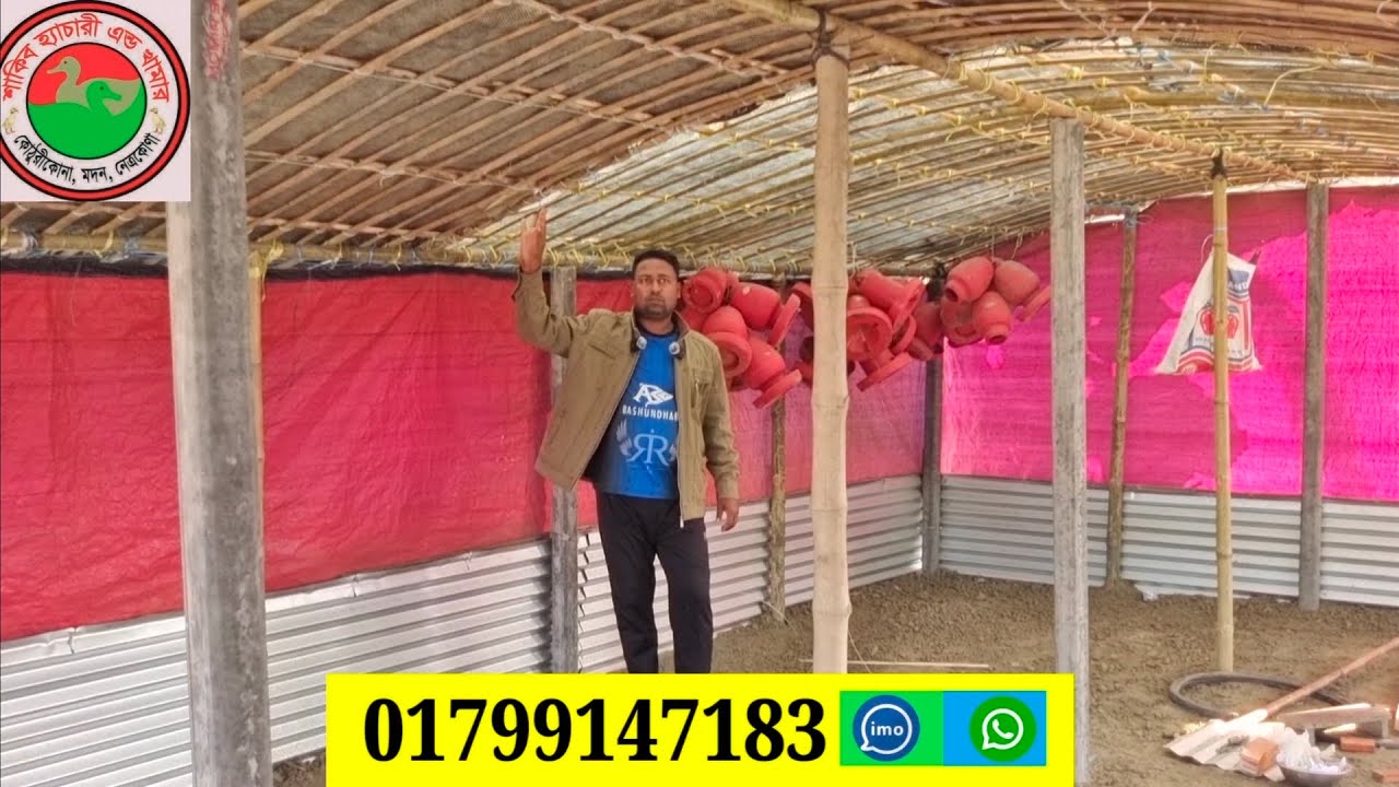 হাঁস ও হাঁসের বাচ্চার জন্য কিভাবে ঘর বানাতে হবে 