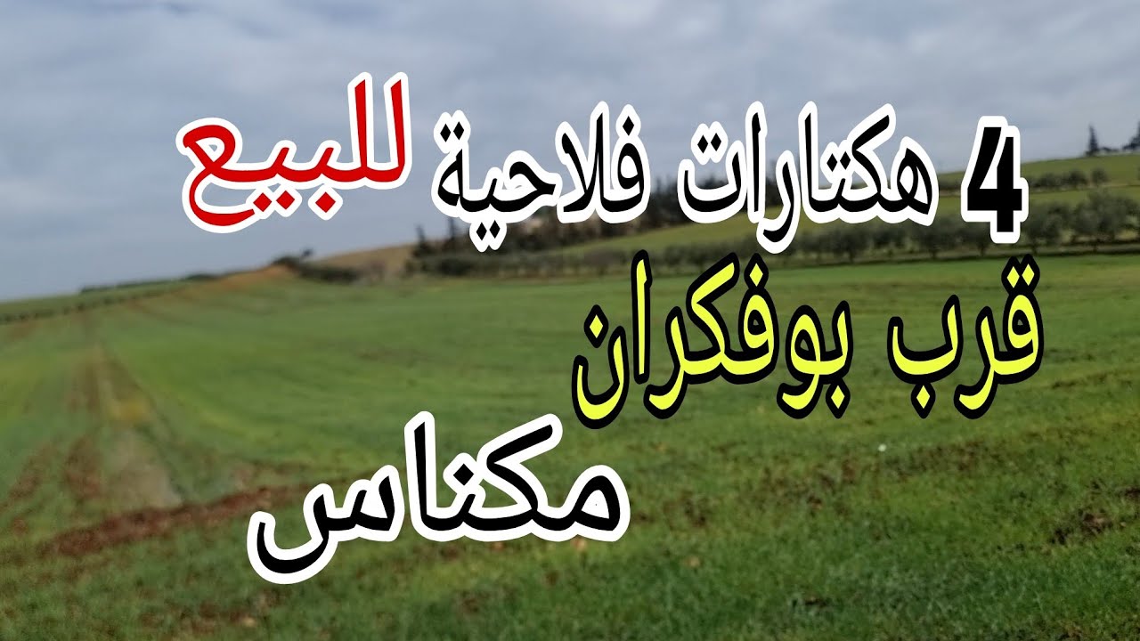 أرض فلاحية للبيع 4هكتار تربة ممتازة مع بئر  ومجهزة بسقي بتنقيط قرب بوفكران  مكناس 50 مليون  للهكتار