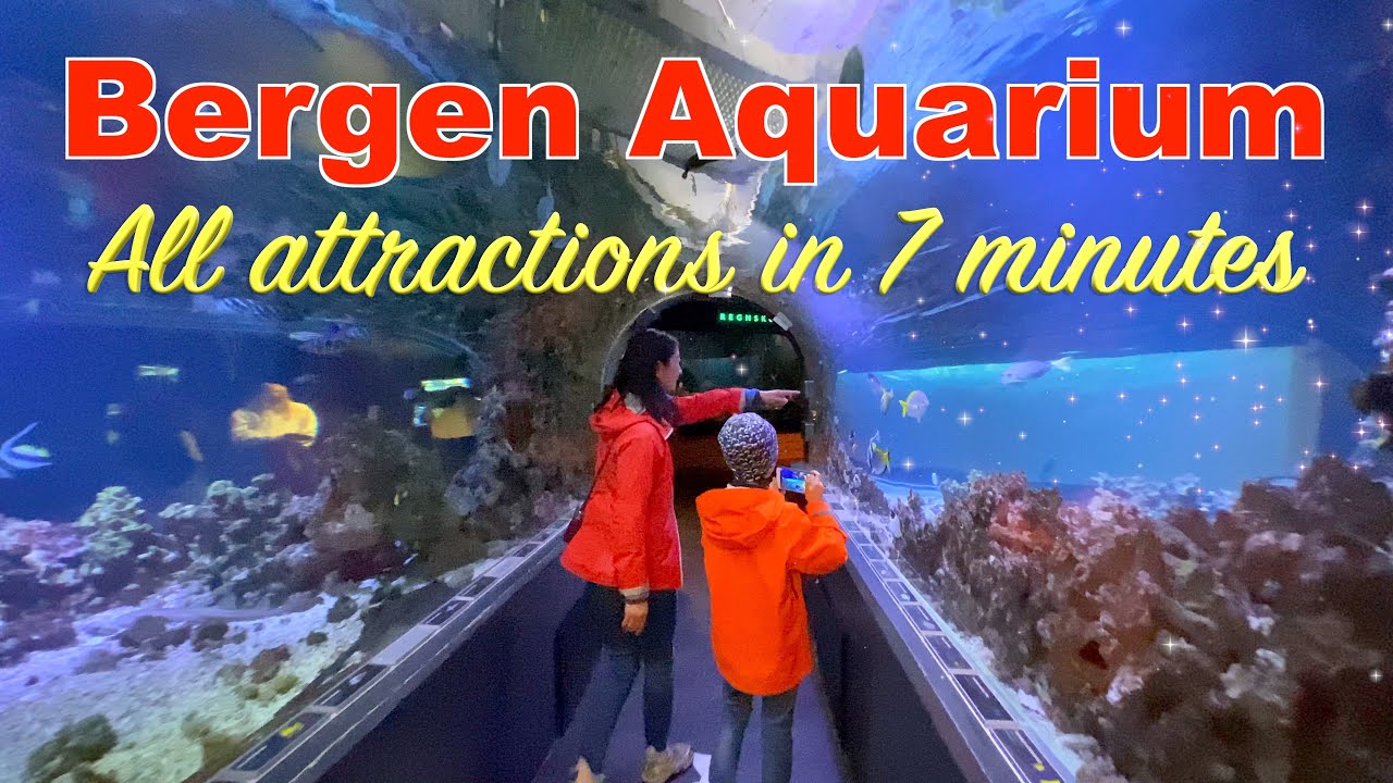 Bergen Aquarium - All Attractions in 7 Minutes