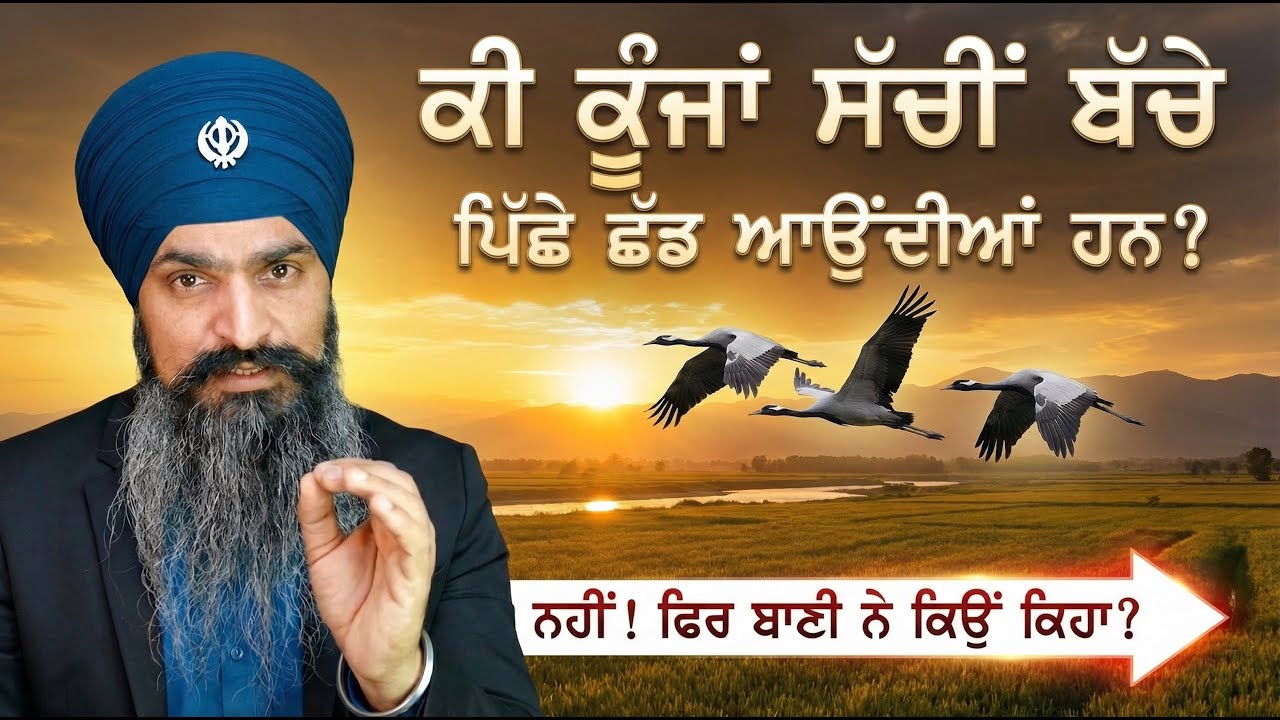 ਊਡੇ ਊਡਿ ਆਵੈ ਸੈ ਕੋਸਾ ।ਕੀ ਕੂੰਜਾਂ ਸੱਚਮੁੱਚ ਆਪਣੇ ਬੱਚਿਆਂ ਨੂੰ ਛੱਡ ਦਿੰਦੀਆਂ ਹਨ?। Sardar Ajaypal Singh
