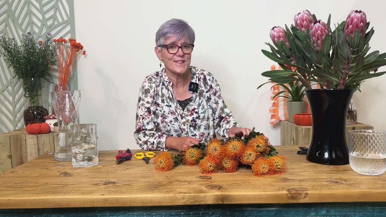 How to Care for Pincushion Protea (Leucospermum) | Florist Tips for Stunning Exotic Blooms