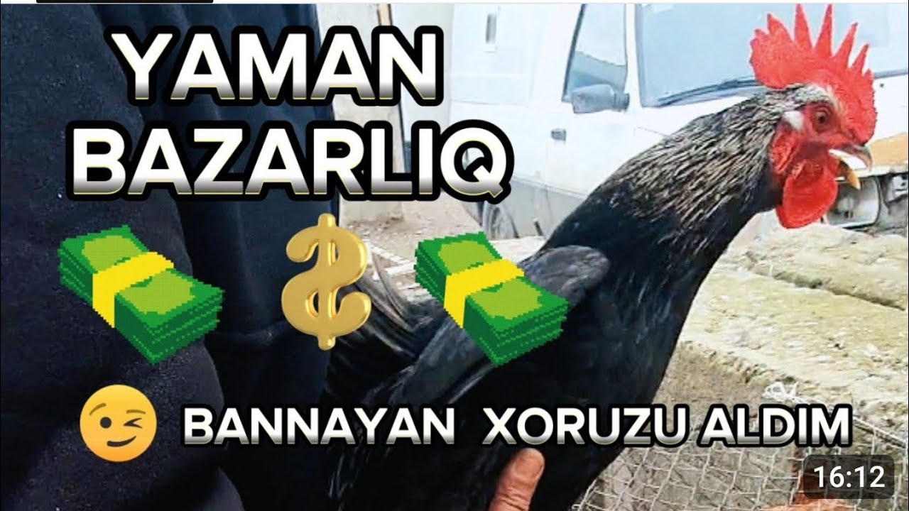 Xaçmaz bazarı - Xaçmaza bazarlığa getdim - Bazardan meyvə tərəvəz və xoruz aldım