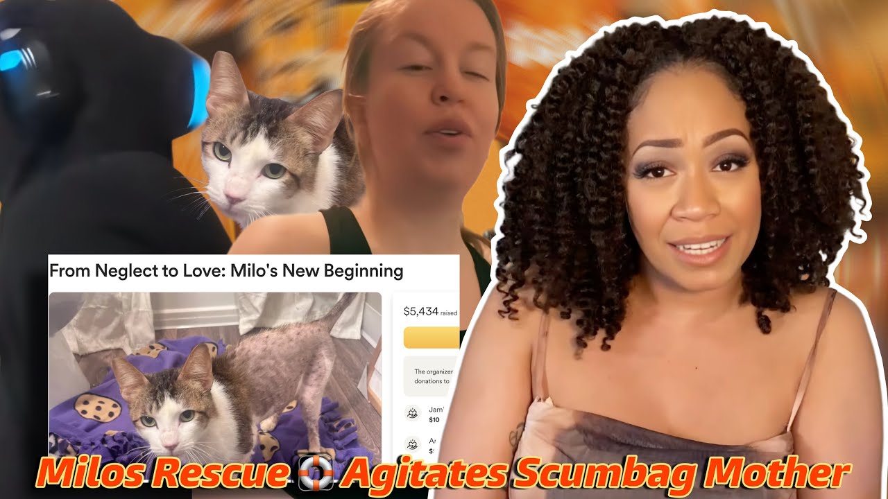 They Left Their Cats Behind After Moving Away | Resilient Jenkins Eviction | Andrew Tosses Cat