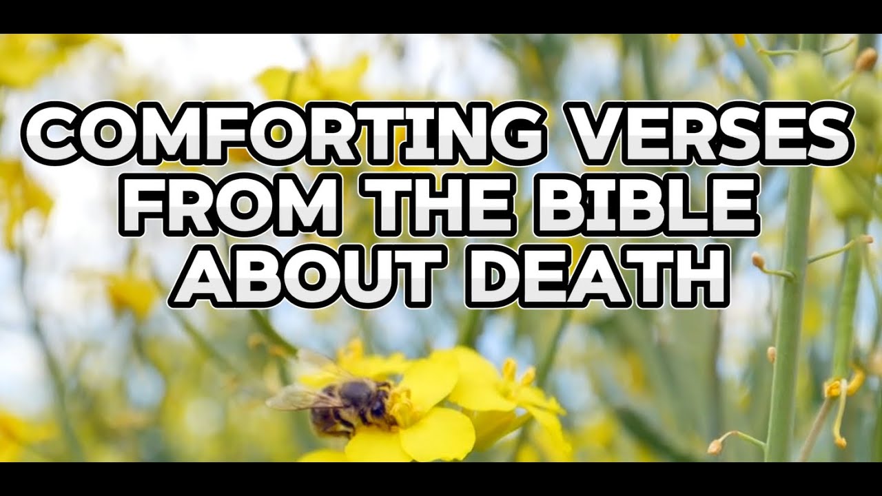 Bible Verses about Death of Loved One - Be Comforted by God's Words