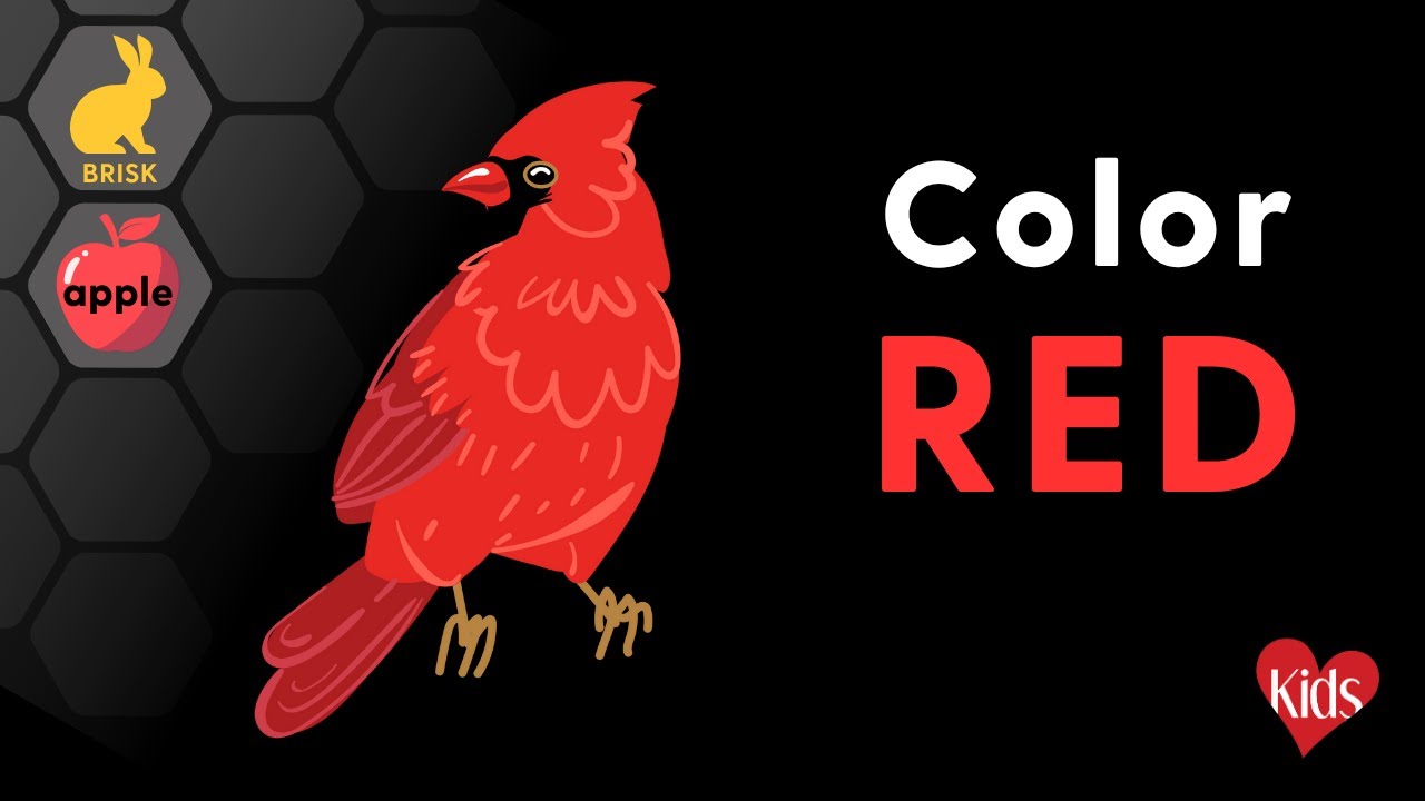 Learn About the Color RED! CVI Friendly Special Education for Kids
