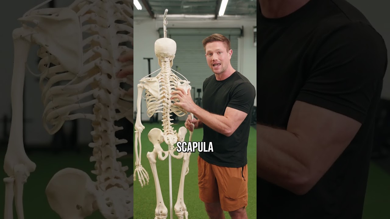 How To (actually) Fix Tight Upper Traps