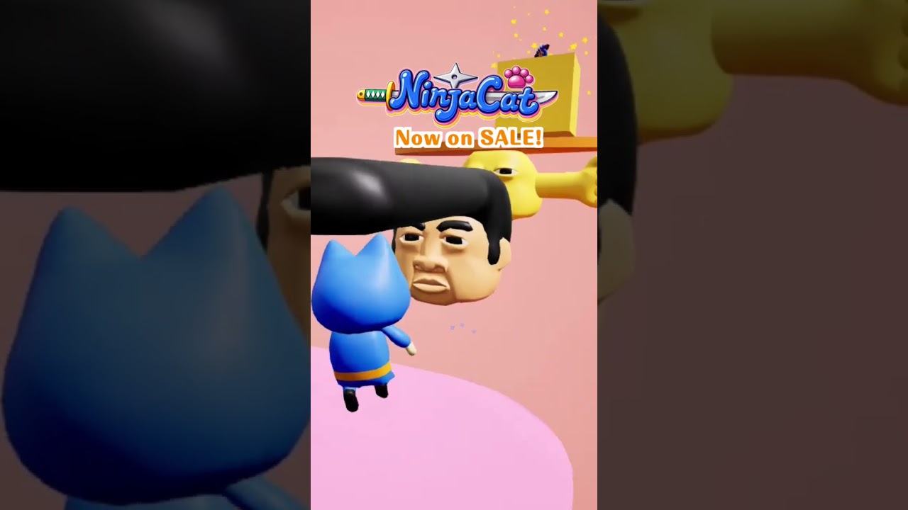 ninjacat