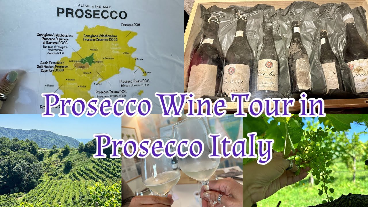 Prosecco Wine Tour in Prosecco Italy - world’s oldest prosecco, wine tasting & lunch @ Chef’s house.