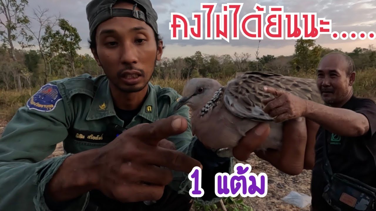 คงไม่ได้ยินนะ…หมายต่อนกเขาใหญ่ จัด 1 แต้ม
