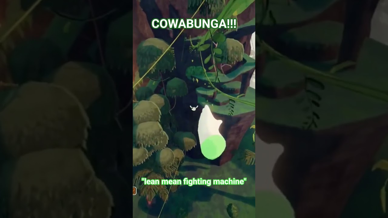 COWABUNGA MY DUDES 