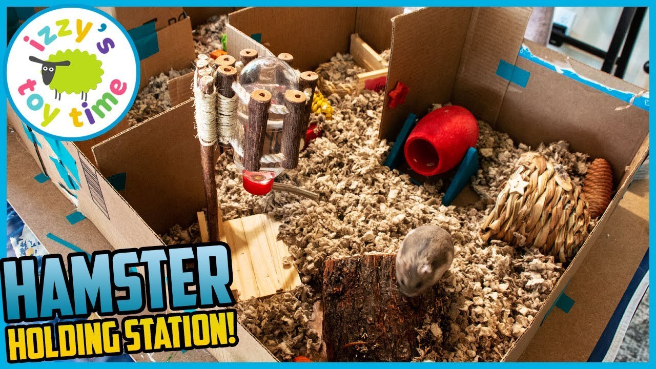Hamster HOLDING STATION! Happy the Hamster Living Upgrades!