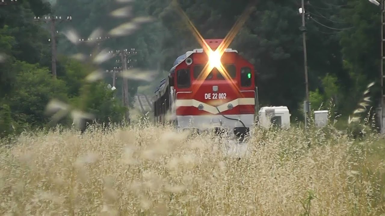 Green Railway  Sivas,Amasya and Samsun Railway  #train #railways #travel