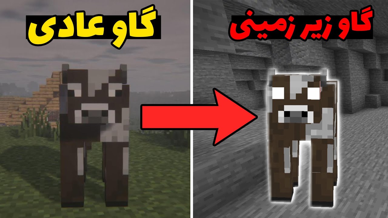 کریپی پاستا گاو زیر زمینی در ماینکرافت؛ هیچوقت گاو ها رو زیر زمین نبرید! 💀❌