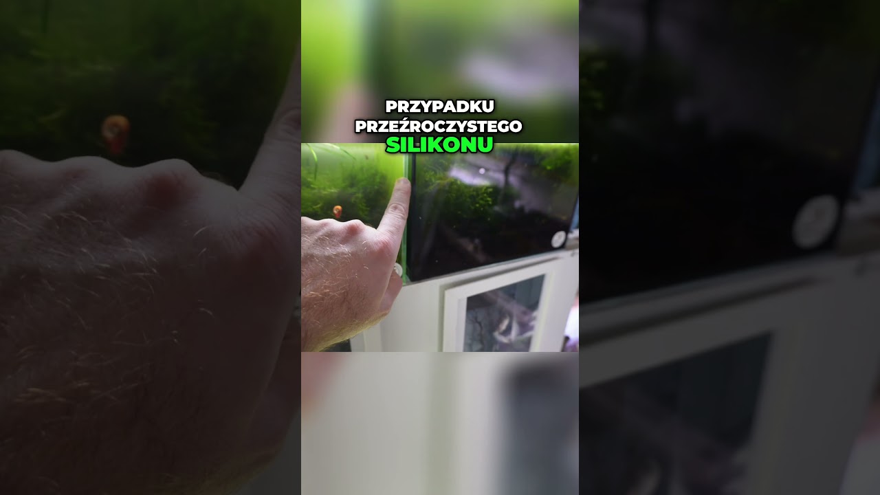 Przezroczysty silikon  R&oacute;żnica między Guardian a Floatem!