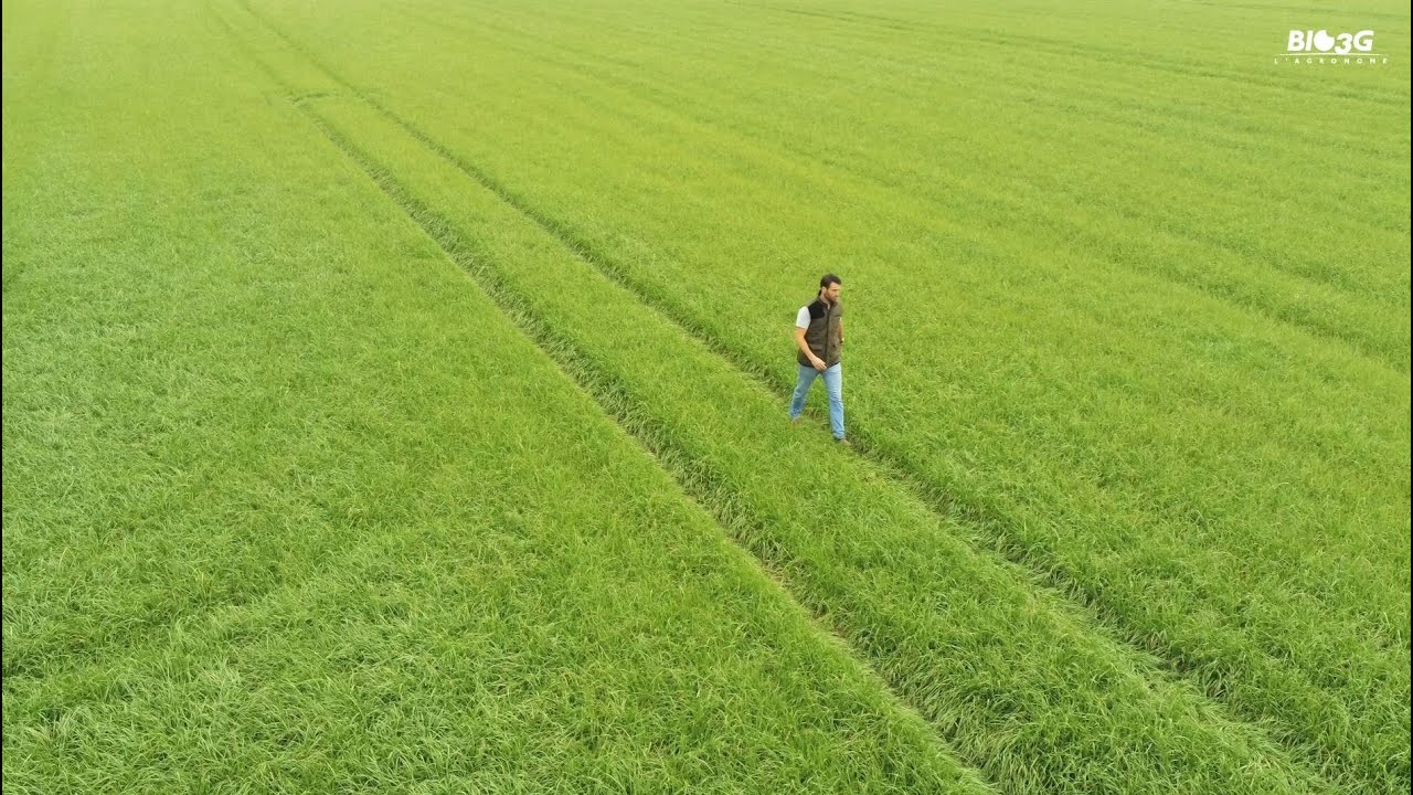 Les questions de l'agronome BIO3G - Maxime CHEVRY