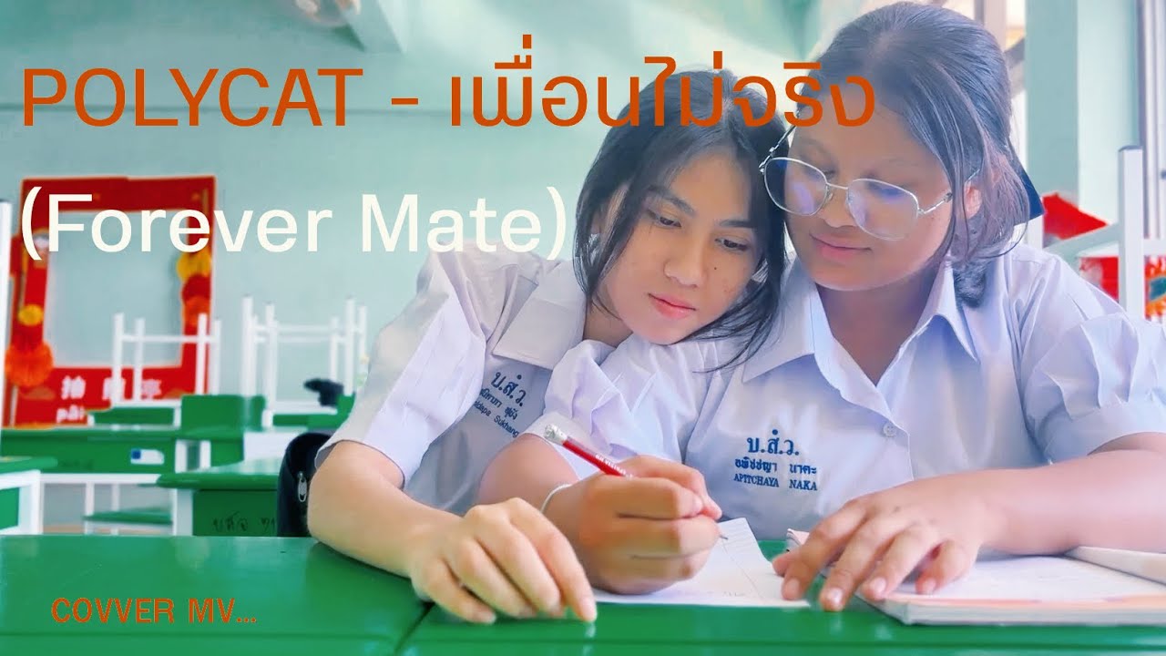 POLYCAT - เพื่อนไม่จริง (Forever Mate) [COVER MV BY 401]