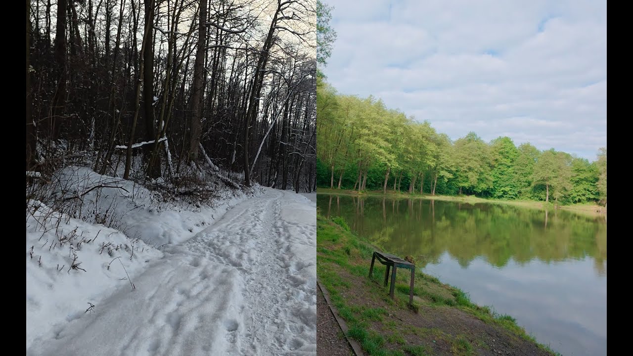Dwie pory roku nad stawem
