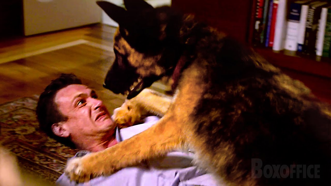 Perro malo | Nuestro video prohibido | Clip en Espa&ntilde;ol