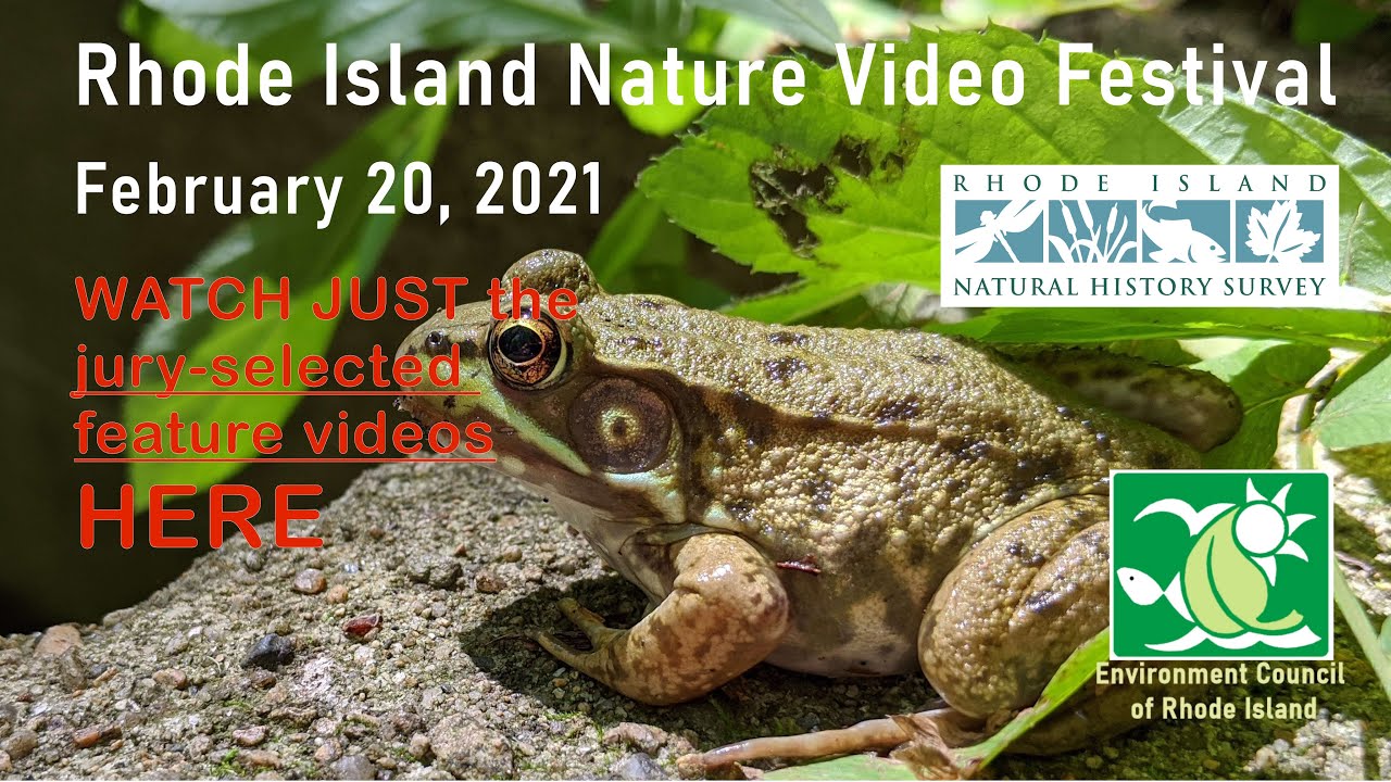 Rhode Island Nature Video Festival Jury's Choice Reel