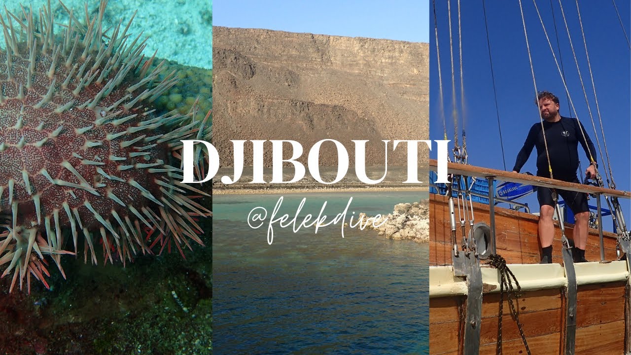 Diving into Djibouti Wonders | Felek