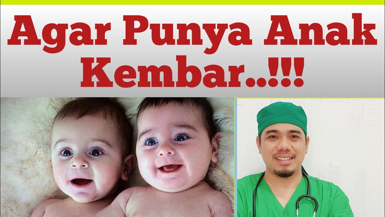Program hamil bayi kembar, cara mempunyai anak kembar, cara mendapatkan bayi kembar, Hamil Kembar,