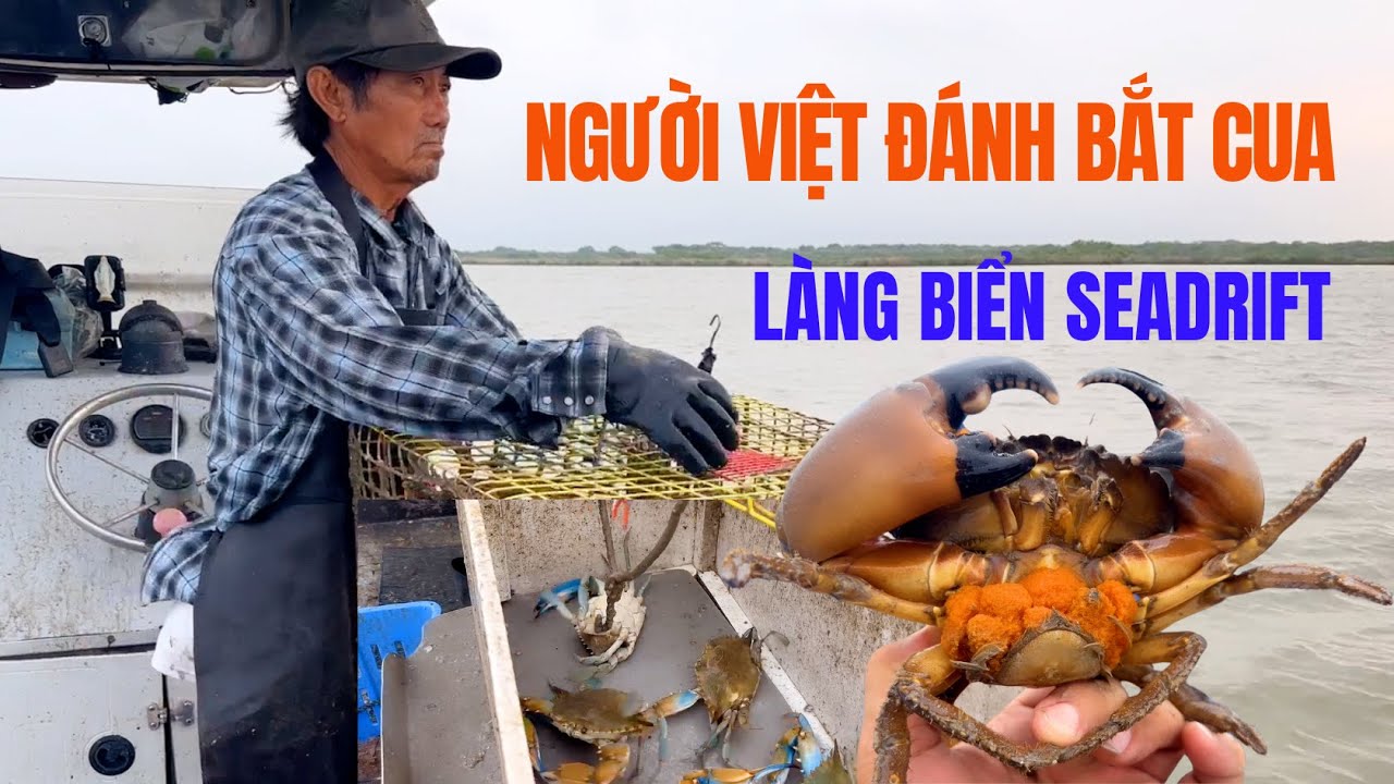 Làng Biển Nhiều Người Việ̣t Đánh Bắt Cua Lâu Năm Nhất Tại Mỹ