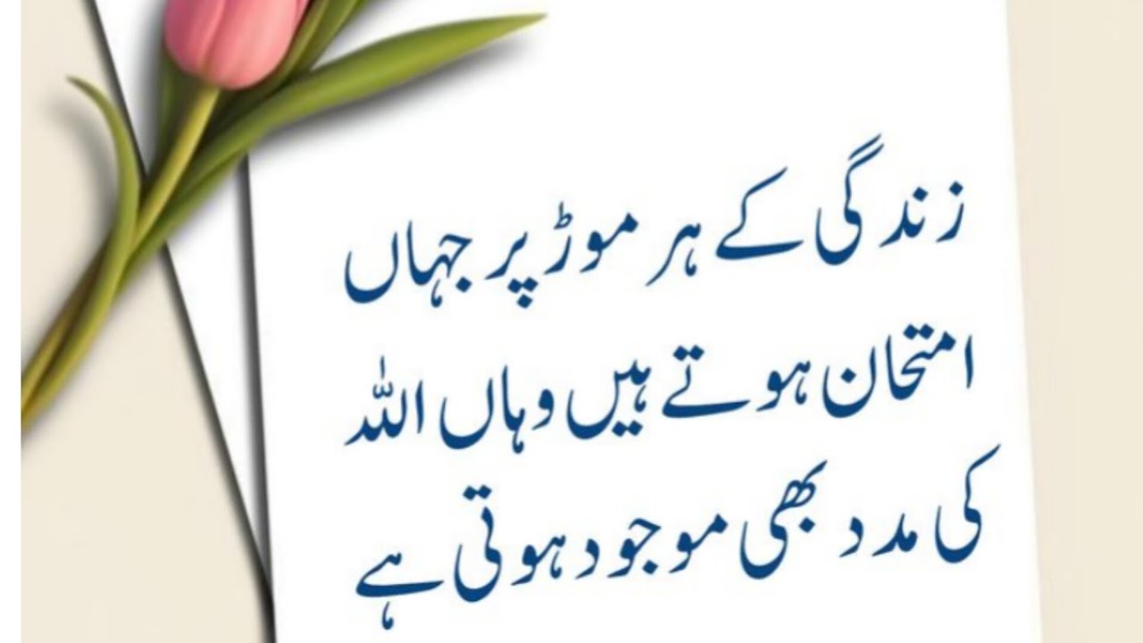 Best urdu aqwale zareen/Golden words/Aqwale zareen new/poetry