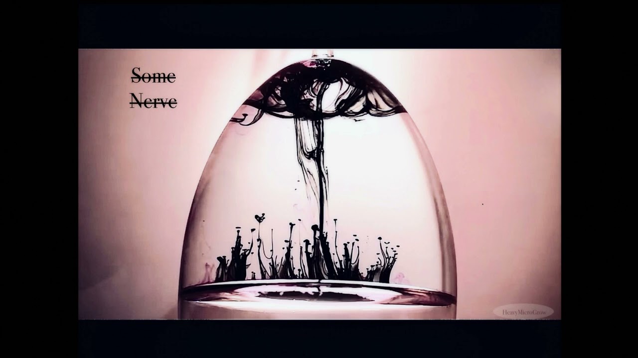 Some Nerve
