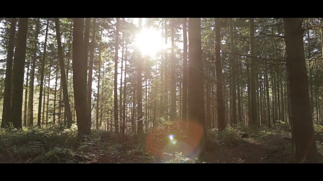 Nature Concept | Explore Everything | Explore Nature