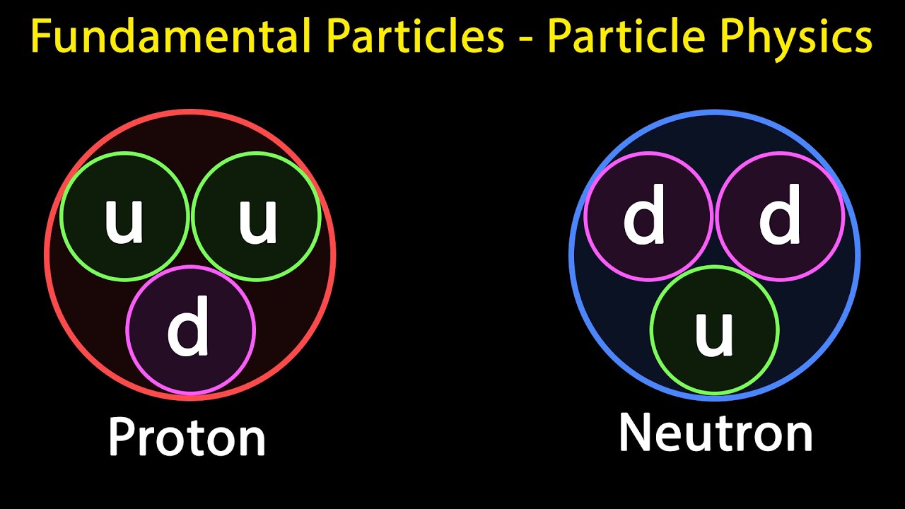 Fundamental particles | Particle Physics