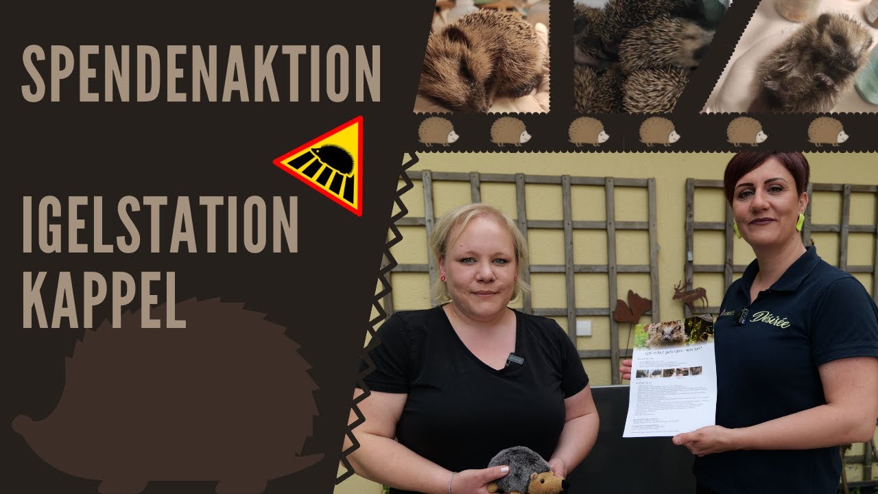 2. Spendenaktion in 2022 -  ehrenamtliche Igelstation Kappel- Grafenhausen