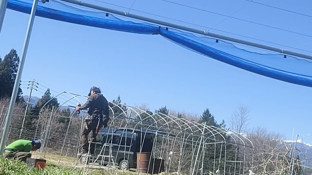 初めての農業用ハウスを素人が建てる！4倍速映像！