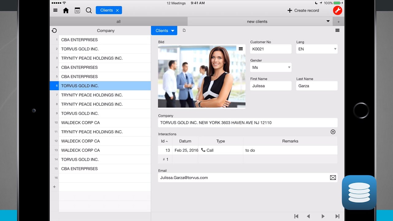 Ninox Database iPad App Demo