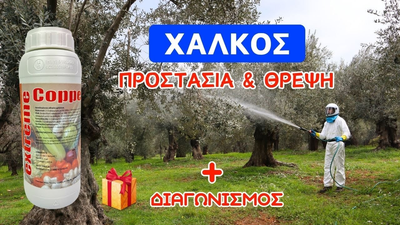 ΨΕΚΑΣΜΑ ΧΑΛΚΟΥ ΓΙΑ ΠΡΟΣΤΑΣΙΑ & ΘΡΕΨΗ + ΔΙΑΓΩΝΙΣΜΟΣ