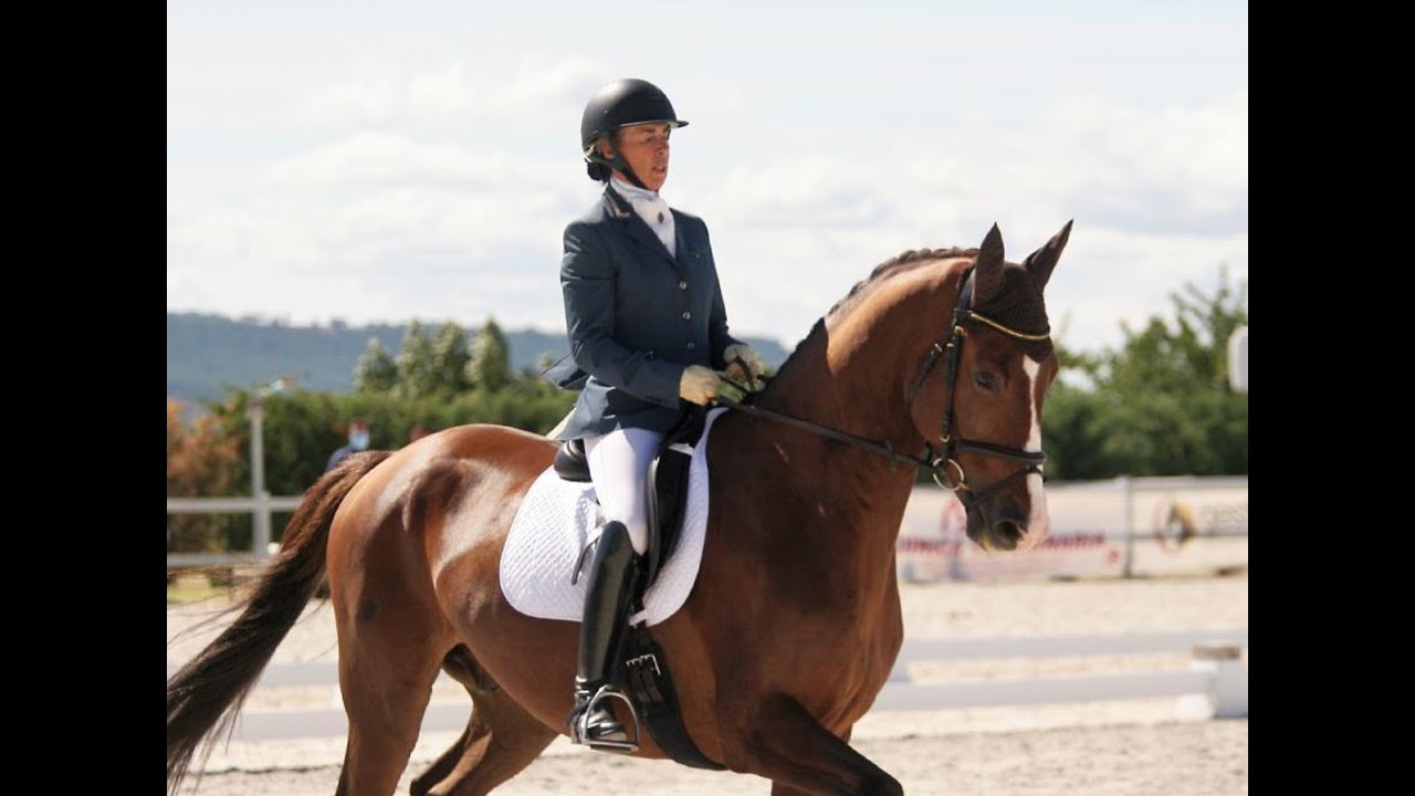 “Yo no puedo vivir sin caballo y sin montar”