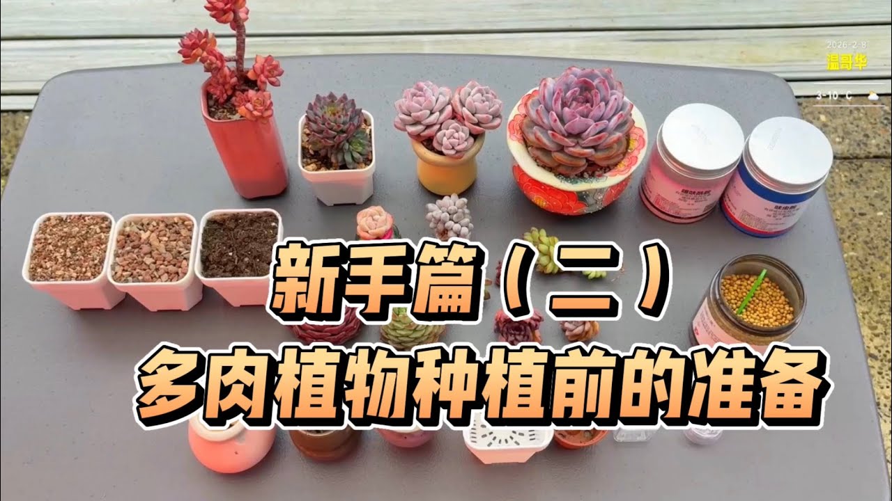 【多肉植物】新手篇（二）种植前的准备
