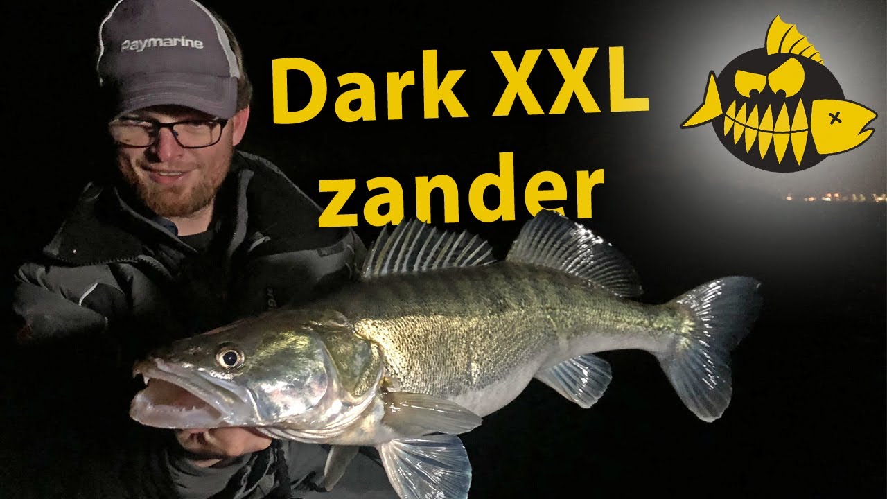 Grote rivier snoekbaars in het donker - Verticalen met Volkmar Strikkers