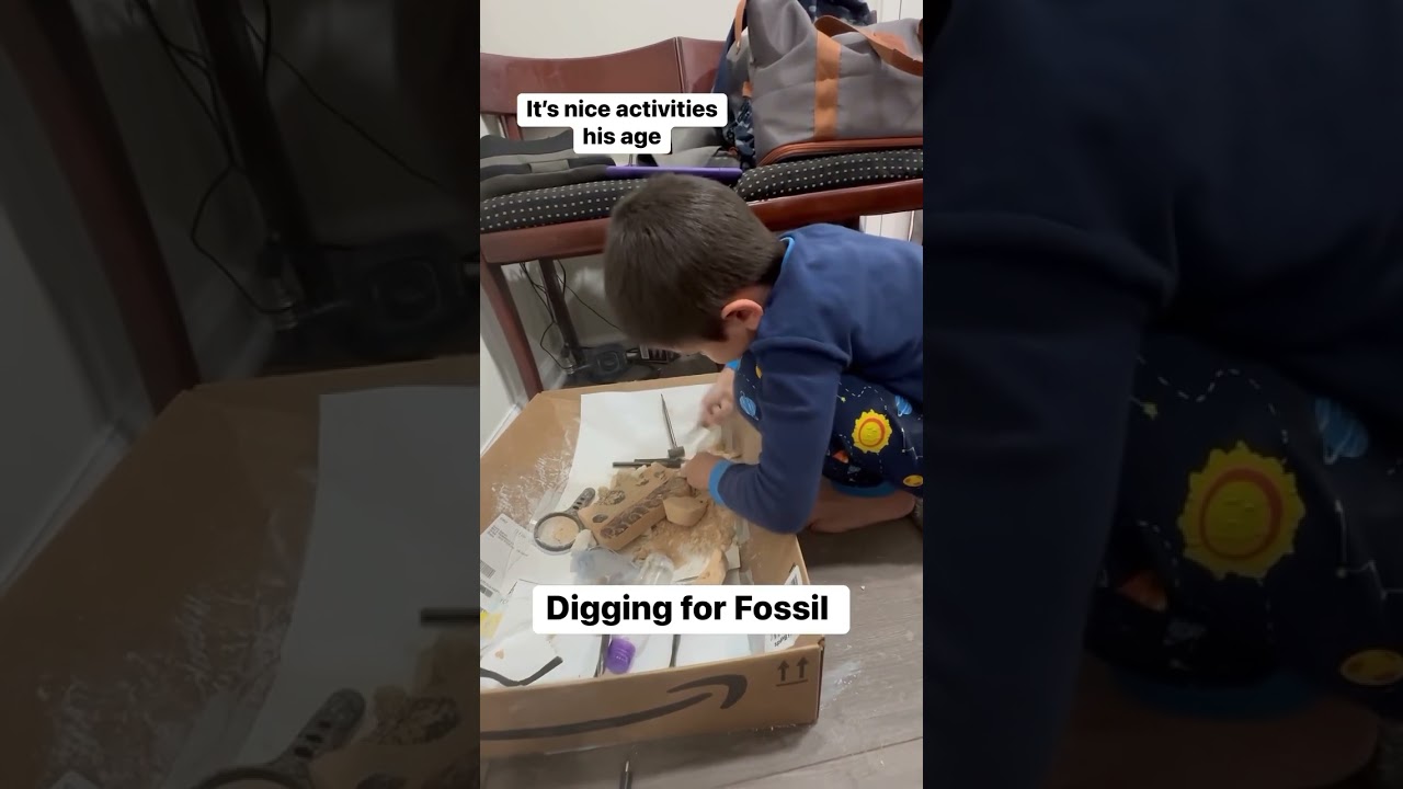 Digging For Fossils and Gems 