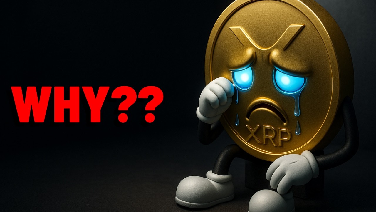 XRP: почему это ПРОИСХОДИТ?!