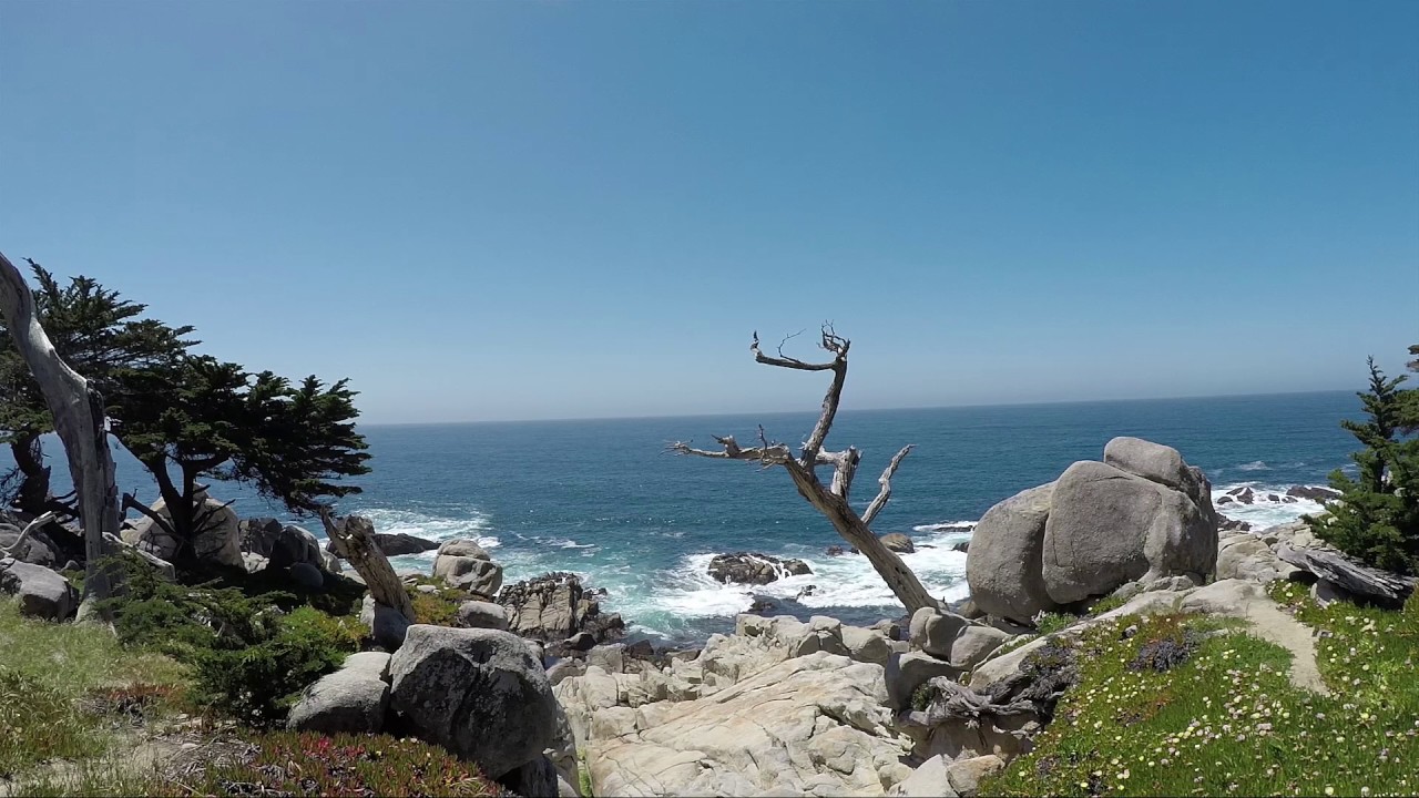 17 Mile Drive | Tour Guide | Scenic Drive