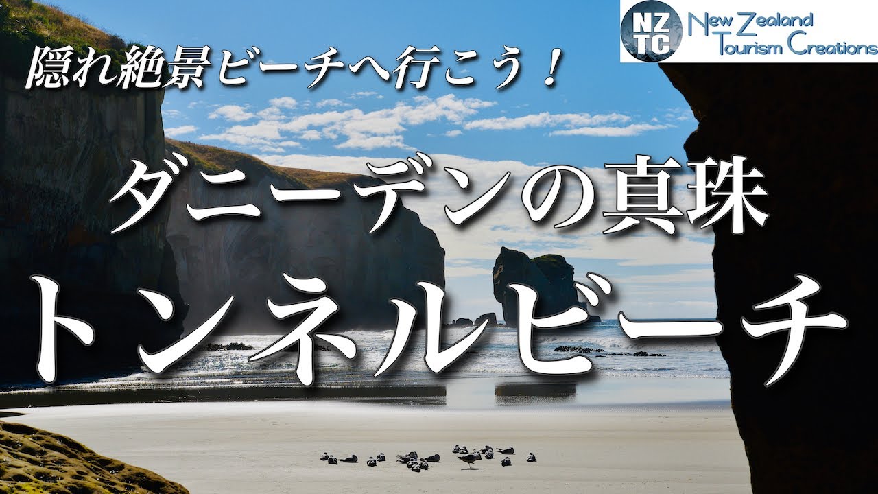 【絶対行きたくなる！ニュージーランドの絶景ビーチ】ダニーデンのローカルビーチは楽園！〜トンネルビーチ〜